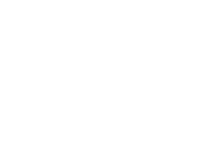 Steam